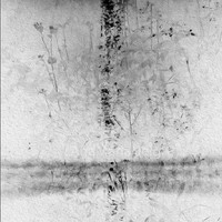 SchwarzWeiss 1